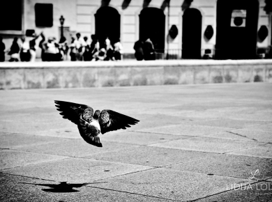 vienna-street-photography-13